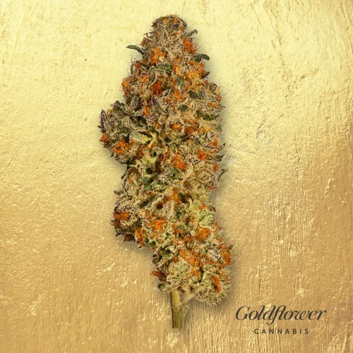 Zkusherz by Goldflower - 3.500g Whole