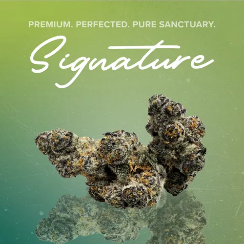 Boof Bomb Signature - 3.5g by Sanctuary Signature - 3.500g Whole