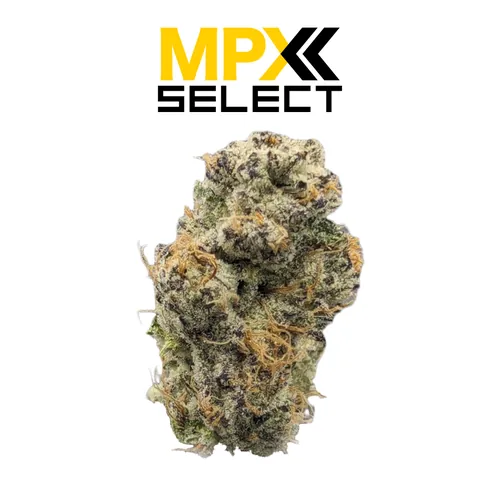 MPX Select™ Grape Pie Flower from  product image