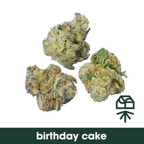 Birthday Cake - 