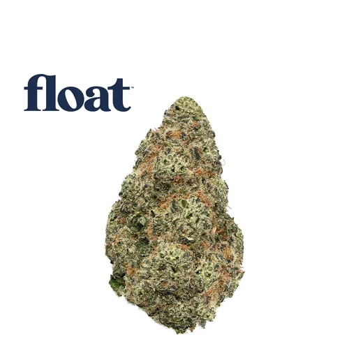 Mimoza from  product image