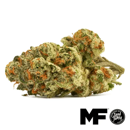 Juicy Jane - Whole Flower 3.5G from  product image