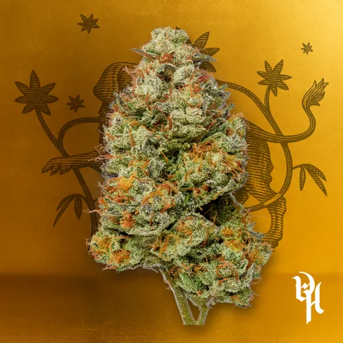 Candy Clouds #1 by Doghouse - 3.500g Whole