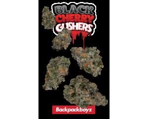 Black Cherry Gushers 7g Juniors - 