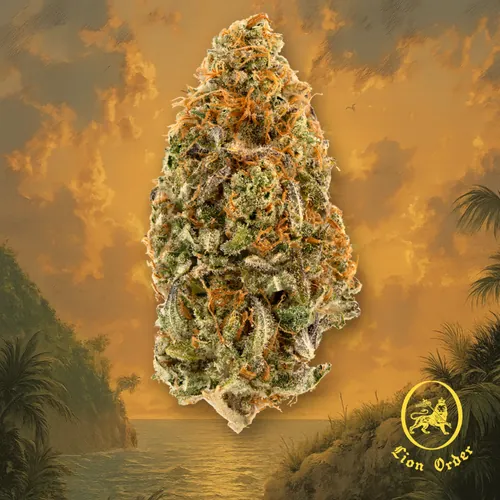Sunshine Kush by Lion Order - 3.500g Whole