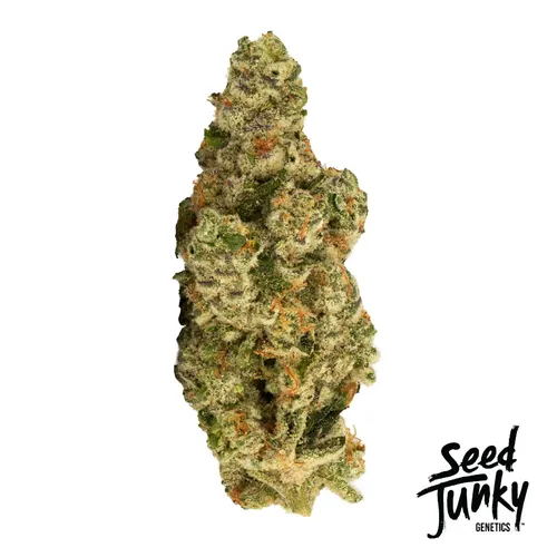 Melon Barz Flower from  product image
