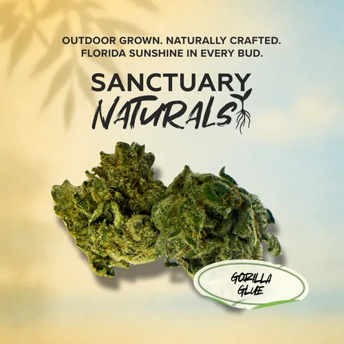 image of Sanctuary Naturals Gorilla Glue
