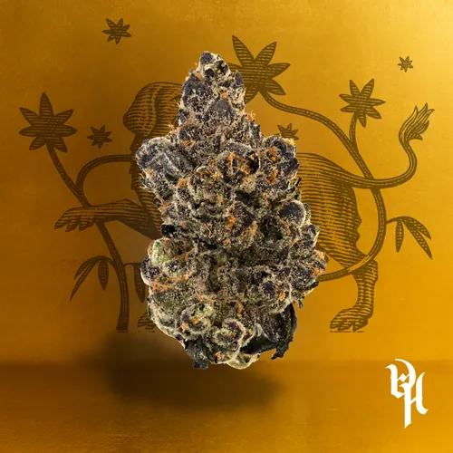  from  product image