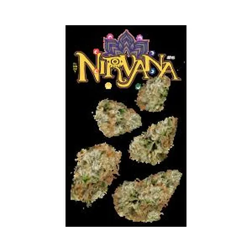 Nirvana #6 7g Juniors from  product image