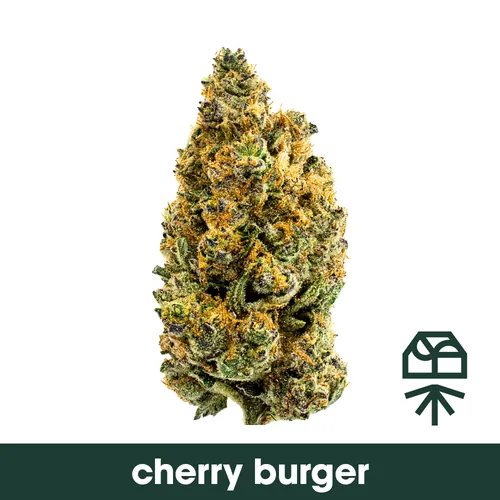Cherry Burger