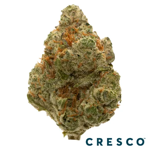 Cresco Premium Flower 3.5g - PpyaBry Rntz x Govrnmnt Oasis (H)