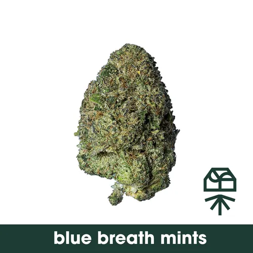 Blue Breath Mints by Grassroots - 3.500g Whole