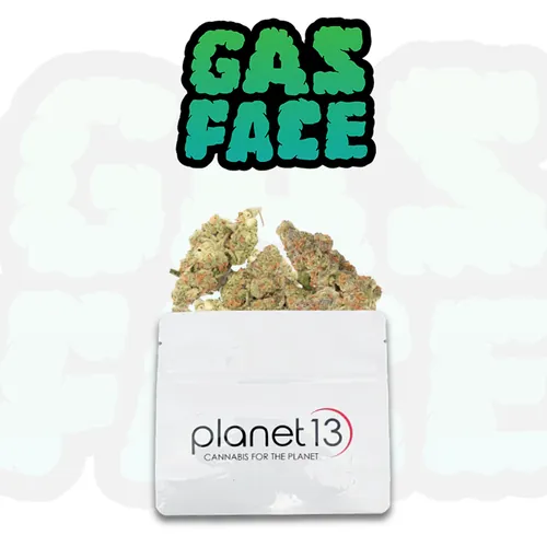 Leaf & Vine - Gas Face - 