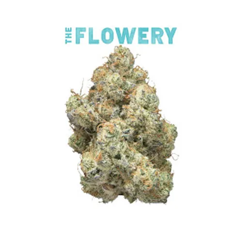 Pina Loca #7 Eighth (Glass Jar)