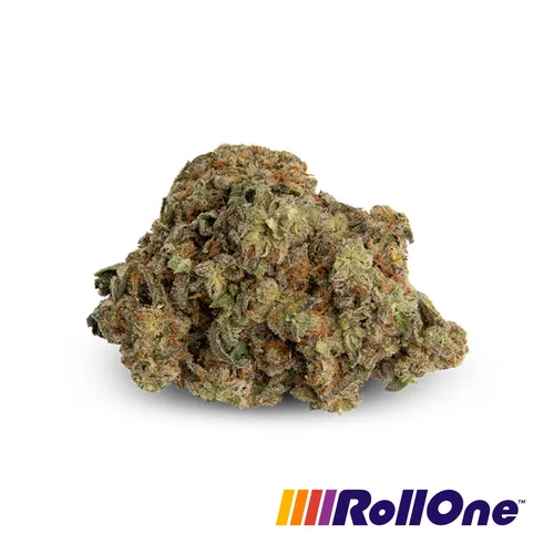 Mimosa Flower by Roll One - 3.500g Whole