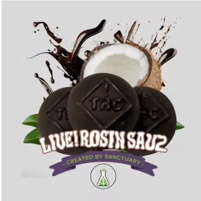 Live Rosin Sauz Bites I Coconut Dark Chocolate 60Mg 6Pk - 