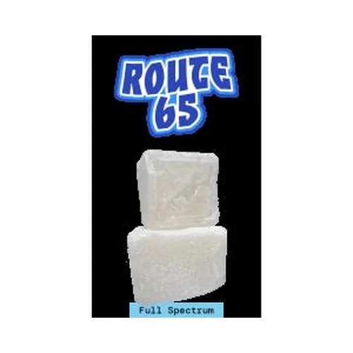 Route 65 - 