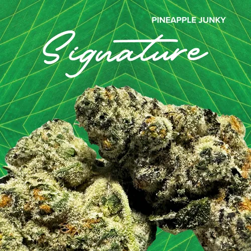 Pineapple Junky Signature - 3.5g by Sanctuary Signature - 3.500g Whole