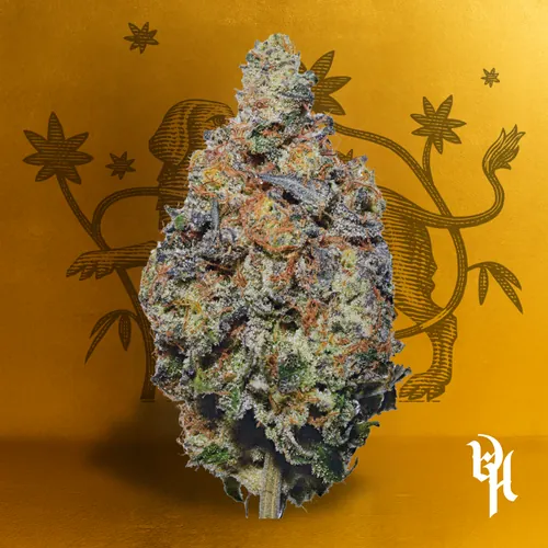 Piggy Bank -  cannabis product