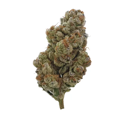 Glitter Bomb from  product image