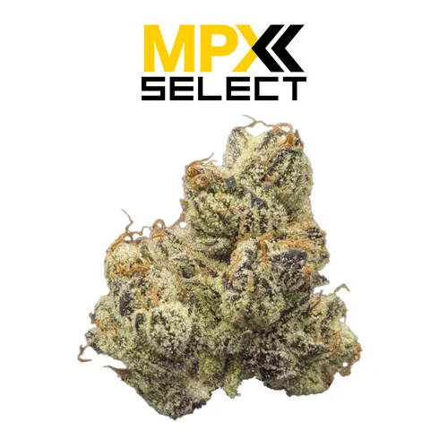 MPX Select™ GMO Flower from  product image