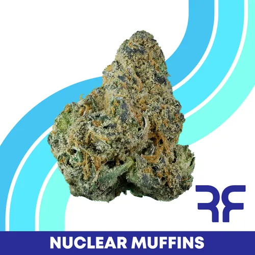 {'strain': 'Nuclear Muffins (H)', 'strain_type': 'Hybrid', 'company': 'Curaleaf', 'brand': 'Reef', 'price': Decimal('27.00'), 'regular_price': Decimal('45.00'), 'thc': Decimal('30.07'), 'cbd': Decimal('0.11'), 'terps': Decimal('0.00'), 'grams': Decimal('3.500'), 'dollars_per_thcg': Decimal('25.650'), 'dollars_per_g': Decimal('7.710'), 'product_format': 'Flower', 'product_sub_format': 'Whole', 'dispensary_cities': ['Spring Hill'], 'main_url': 'https://curaleaf.com/shop/florida/curaleaf-dispensary-spring-hill/menu//menu/flower-1522/hybrid-nuclear-muffins-h-whole-flower-nuclear-muffins-h-3.5g-19450', 'display_image_url': 'https://thchunter-images.s3.us-east-2.amazonaws.com/product_images/95e8daea-5fcc-4e04-8b30-146d864c1e2b.webp', 'id': 12468735, 'company_logo_file': 'curaleaf.jpg', 'company__premium_company': False, 'company__name': 'Curaleaf'}
