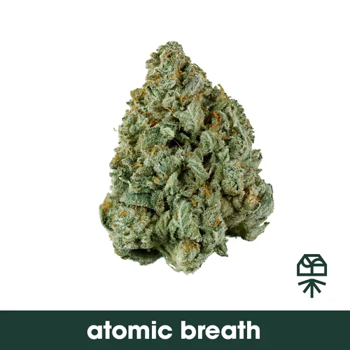 Atomic Breath (H) - 