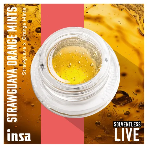 Live Rosin Magma - Strawguava Orange Mints from  product image