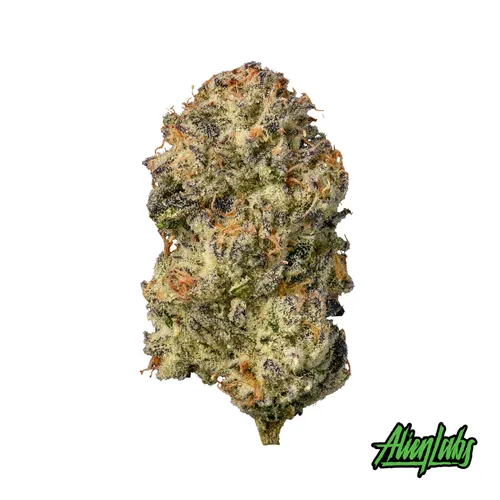 Cosmic Cereal Flower from  product image