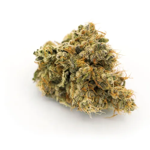 Northern Sensi Flower from  product image