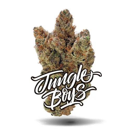 Spanish Honey #11 - Premium Flower - 