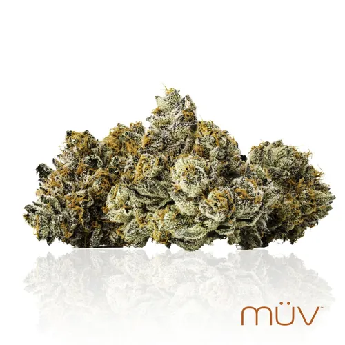 High Society by MÜV - 3.500g Whole