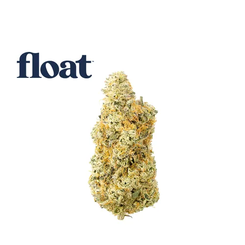 Deluxe Sugar Cane from  product image