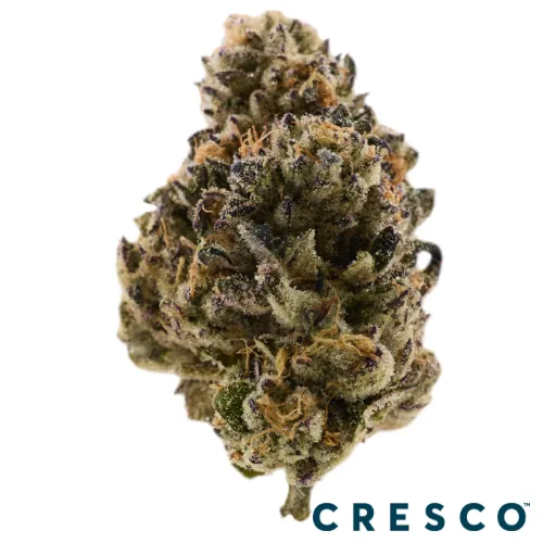Cresco Premium Flower 3.5g - Lmn Sportiff (S) from  product image