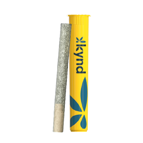 Frozen Angel Pre-Roll - 