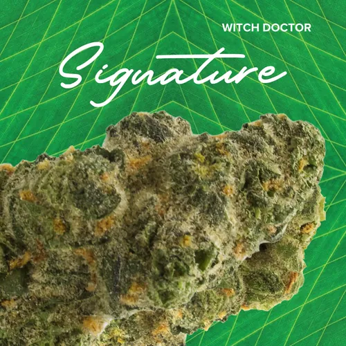 Signature Witch Doctor - 