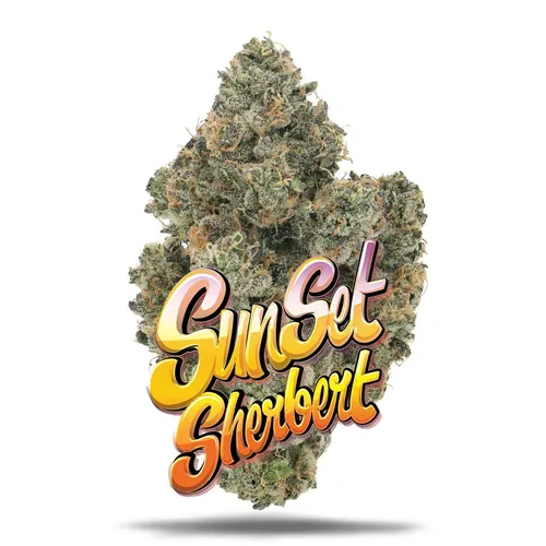 Sunset Sherbert - Premium by Jungle Boys - 3.500g Whole