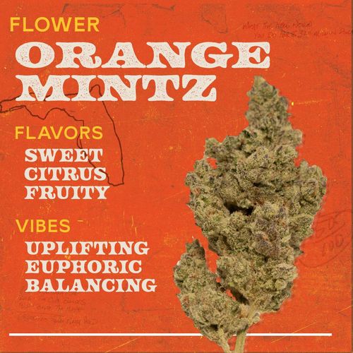 Orange Mintz 3.5g Flower Hybrid - 