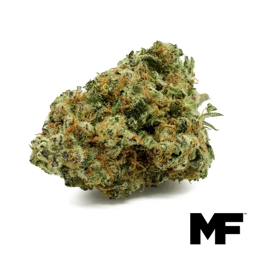 Crimson Queen Flower from  product image