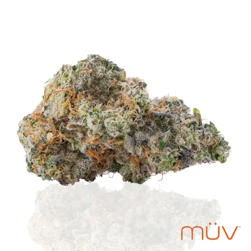  from  product image