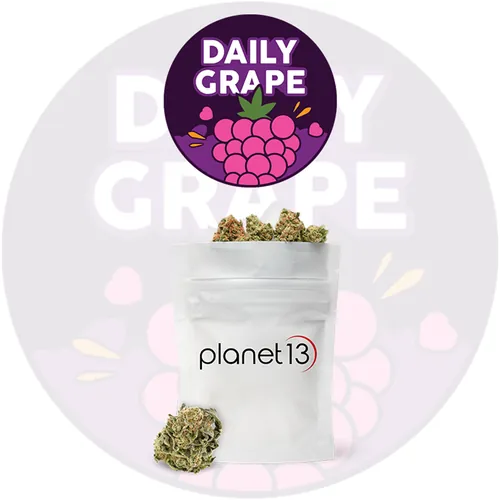 Leaf Vine Daily Grape 1 8th -  cannabis product
