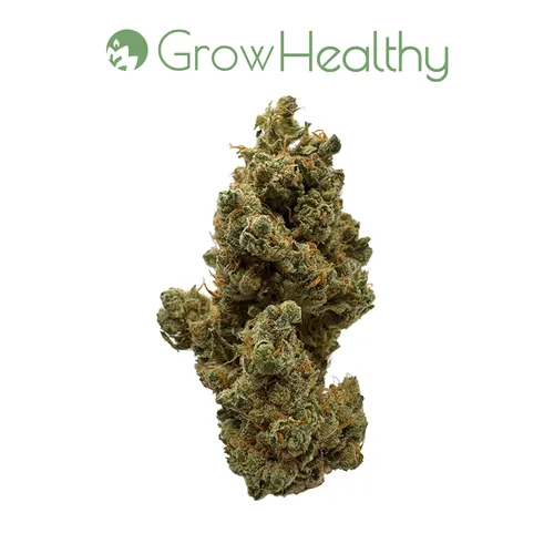 The Grinch Flower from  product image