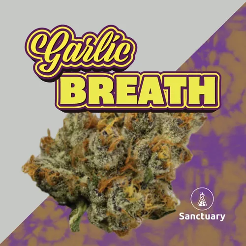 : Garlic Breath - 