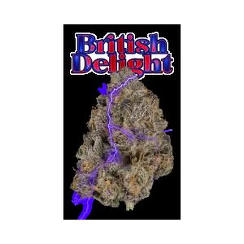 British Delight Eighth by Wizard Trees - 3.500g Whole
