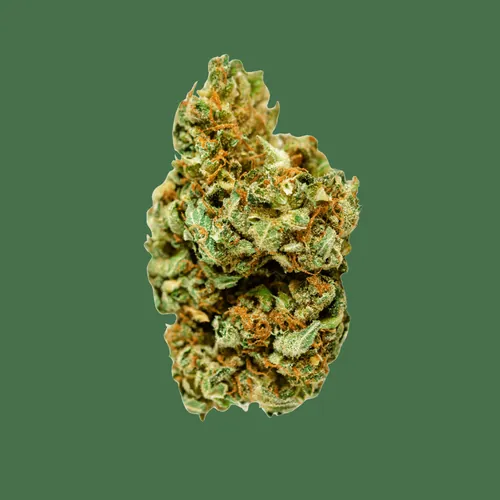 MPX Select Rainbow Z Flower - 
