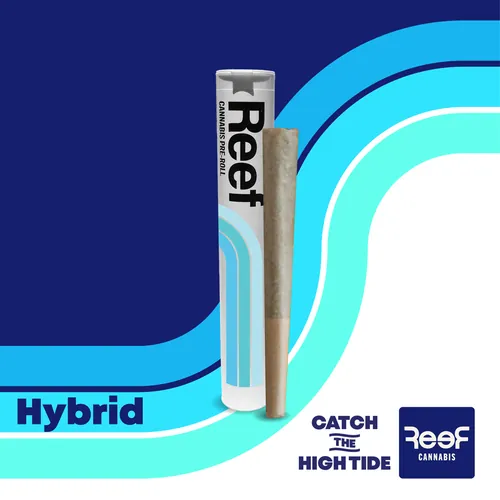  from  product image