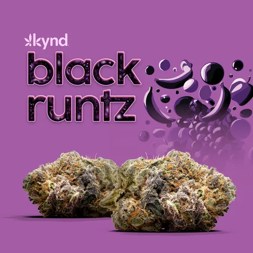 Black Runtz Flower from  product image