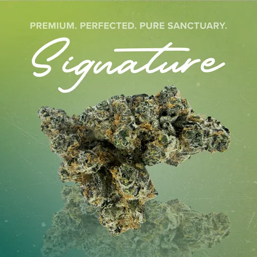 Super Boof Signature - 3.5g by Sanctuary Signature - 3.500g Unknown