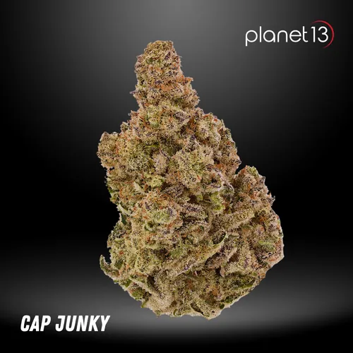 Cap Junky Tier 2 from  product image