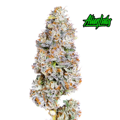 Biskante - Whole Flower 3.5G by Alien Labs - 3.500g Whole